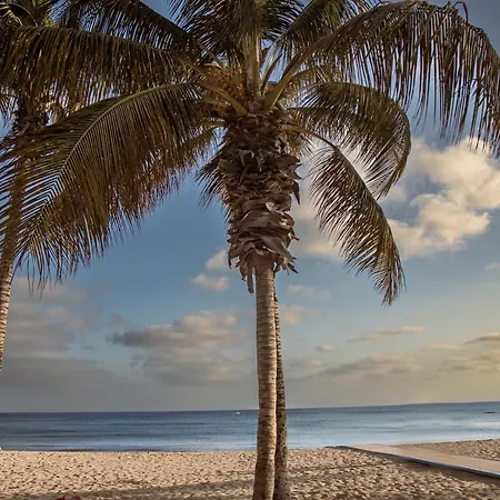 Eslanzarote Aptos Mozaga By Corujo Lejlighed