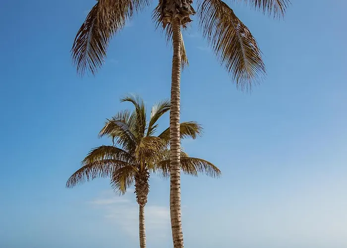 Apartman Eslanzarote Aptos Mozaga By Corujo *